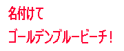 バナー：ゴールデンブルーのタイトル